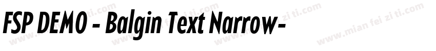 FSP DEMO - Balgin Text Narrow字体转换